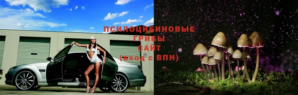 ALPHA PVP Вязники