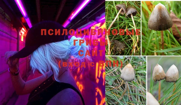 альфа пвп Вяземский