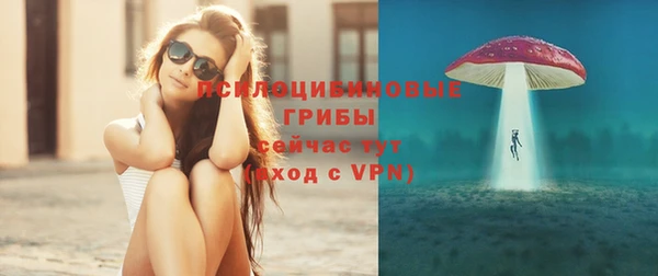 PSILOCYBIN Волосово