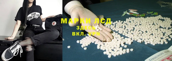 PSILOCYBIN Волосово