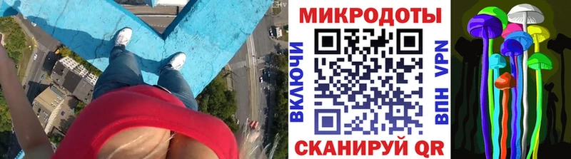 купить сайты Зарайск Псилоцибиновые грибы Psilocybe